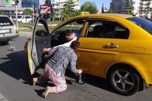 Trafiği birbirine kattı ama yavru kedi yine bildiğini okudu