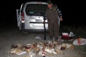 Tavşan avcısı 4 kişi yakalandı