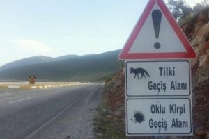 Yaban hayvanları i&ccedil;in tabelalı uyarı