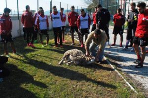 Sakatlıklardan korunmak i&ccedil;in kurban kestiler