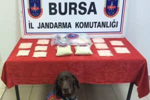 Bursa'da uyuşturucu tacirlerine ağır darbe!