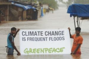 Greenpeace'in Hindistan'daki faaliyetleri durduruldu