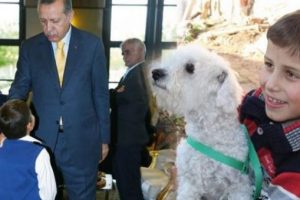 &Ouml;mer Faruk'a, Cumhurbaşkanı Erdoğan'dan k&ouml;pek hediyesi