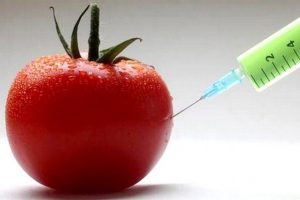 T&uuml;ketici derneğinden GDO'lu gıdalara karşı boykot tehdidi