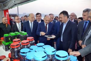 M&uuml;ezzinoğlu Bursa'da zeytin festivaline katıldı