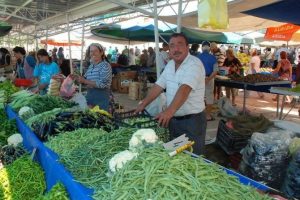 Bursa'da kışlık sebzeler beklentileri karşıladı