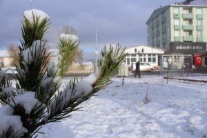Ardahan ve Kars'da kar yağışı başladı