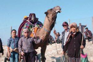75 yaşında, 50 yıldır deve g&uuml;reştiriyor
