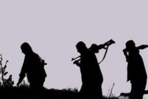 Şırnak'ta 10 PKK'lı teslim oldu