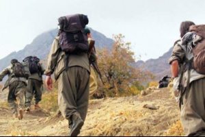 Şırnak'ta 1019 PKK'lı teslim oldu