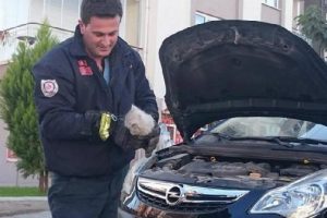 Motora sıkışan kediyi itfaiye kurtardı