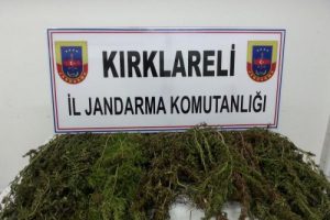 Babaeski'de uyuşturucu operasyonu: 1 g&ouml;zaltı