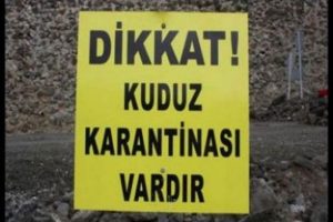 Bing&ouml;l'de 1 k&ouml;y karantina altına alındı