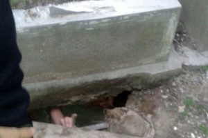 Altın diş &ccedil;almak i&ccedil;in girdiği mezarda mahsur kaldı