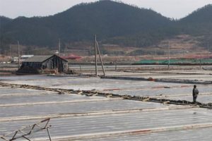 K&ouml;le olarak &ccedil;alıştırılan iş&ccedil;iler h&uuml;k&uuml;mete dava a&ccedil;tı