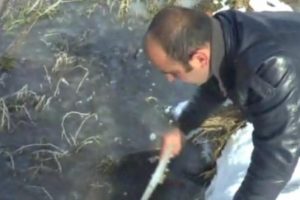 Kura Nehri buz tuttu
