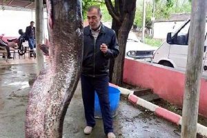 120 kiloluk yayın yakalandı