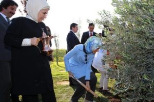 Zeytin fidanıyla ''barış'' mesajı
