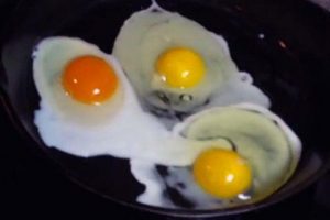 Hangi yumurta daha doğal renginden anlaşılabilir mi?