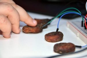 Kayısıdan piyano yaptılar