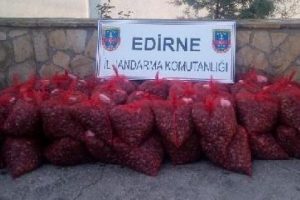 Edirne'de ka&ccedil;ak avlanan 1.4 ton midye ele ge&ccedil;irildi