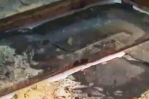 Tarihi keşif! Konf&uuml;&ccedil;yus'un en eski portresi