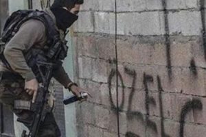 Silvan'daki duvar yazılarına inceleme