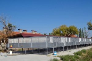 T&uuml;rkiye'nin en b&uuml;y&uuml;k keklik &uuml;retme merkezi oldu
