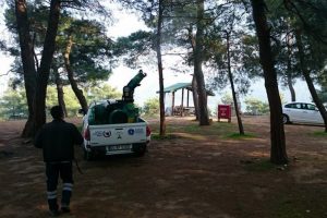 Bursa'da zararlılarla m&uuml;cadele hız kesmiyor