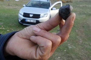 Bursa'da zeytinlikte 2 lahit bulundu
