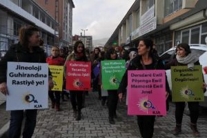 Y&uuml;ksekova'da kadına şiddete karşı 'sessiz &ccedil;ığlık' eylemi