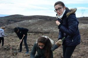 Galatasaray Lisesi &ouml;ğrencileri Bursa'da fidan dikti