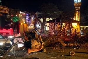 Bursa'daki kuvvetli lodos tarihi &ccedil;ınarın dalını kopardı