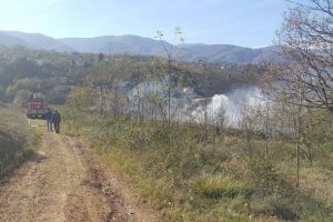 Sakarya'da 5 d&ouml;n&uuml;ml&uuml;k arazi k&uuml;l oldu