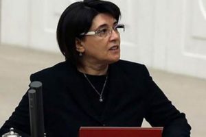 HDP'li isimden Zana'ya sert tepki