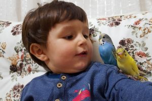 Bursa'da minik Taha'nın kuşlarla renkli diyaloğu