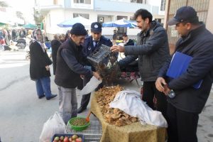 Bursa Gemlik'te mantar operasyonu!