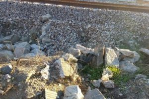 Poşet i&ccedil;erisinde el bombaları bulundu