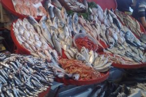 Balık azalınca fiyat y&uuml;kseldi