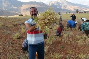 Ovacık Belediye Başkanı 78 &ouml;ğrenciye burs veriyor