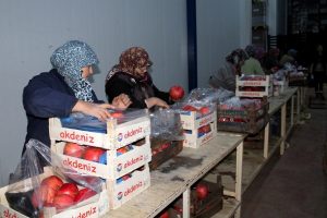 Bursa narı Avrupa'nın g&ouml;zdesi