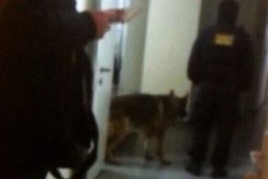 Rusya'da yurda baskın yapıp T&uuml;rk &ouml;ğrencileri g&ouml;zaltına aldılar