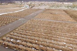 Erzurum'da bin 800 mezar kazıldı