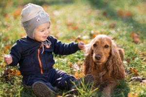 K&ouml;pek besleyen &ccedil;ocuklar kaygısız oluyor