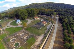 Yaralı yaban hayvanları, Bursa Uludağ &Uuml;niversitesi'nde tedavi edilecek