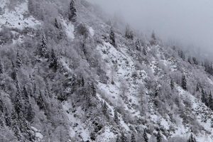 Meteorolojiden 'kar yağışı' uyarısı geldi!
