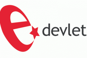 E-devlet'i en &ccedil;ok bu işlem i&ccedil;in kullanıyoruz!