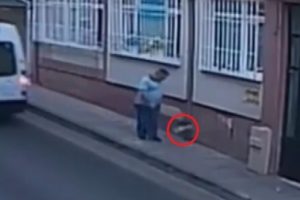 Kediye tekme atarak &ouml;l&uuml;m&uuml;ne neden oldu