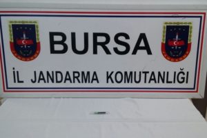Bursa'da jandarmadan 500 bin dolarlık operasyon!