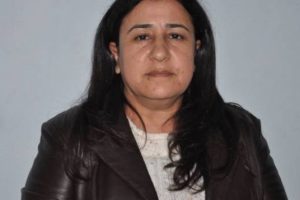 HDP'li Demirel'den Davutoğlu'na 'Derik' sorusu